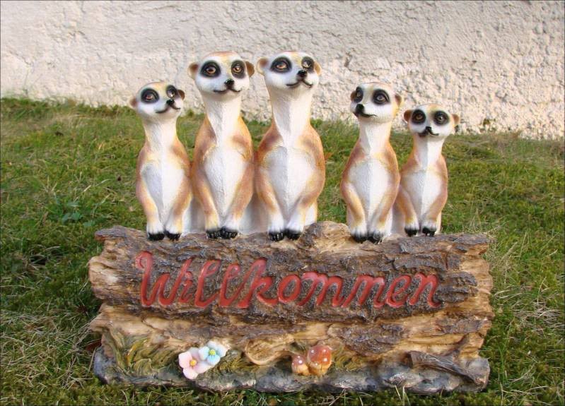 Erdmännchen Rudel Willkommenschild Figur Familie